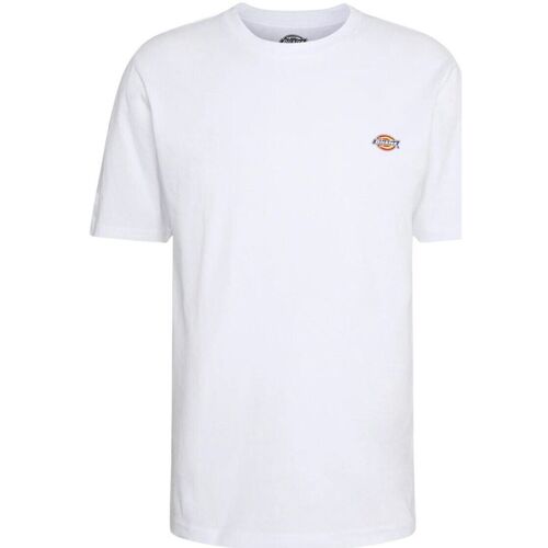 Abbigliamento Uomo T-shirt maniche corte Dickies SS MAPLETON TEE Bianco