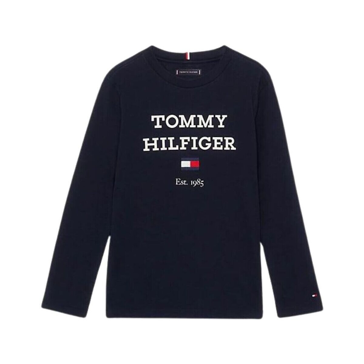 Abbigliamento Bambino T-shirts a maniche lunghe Tommy Hilfiger TH LOGO TEE L/S Blu