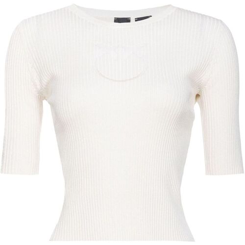 Abbigliamento Donna T-shirt maniche corte Pinko TRITONE MAGLIA SETA COTONE LOGO IN TRASPARENZA Bianco