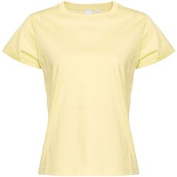 Abbigliamento Donna T-shirt maniche corte Pinko BASICO T-SHIRT JERSEY OLD WASH LOGO Giallo-H23-YELLOW