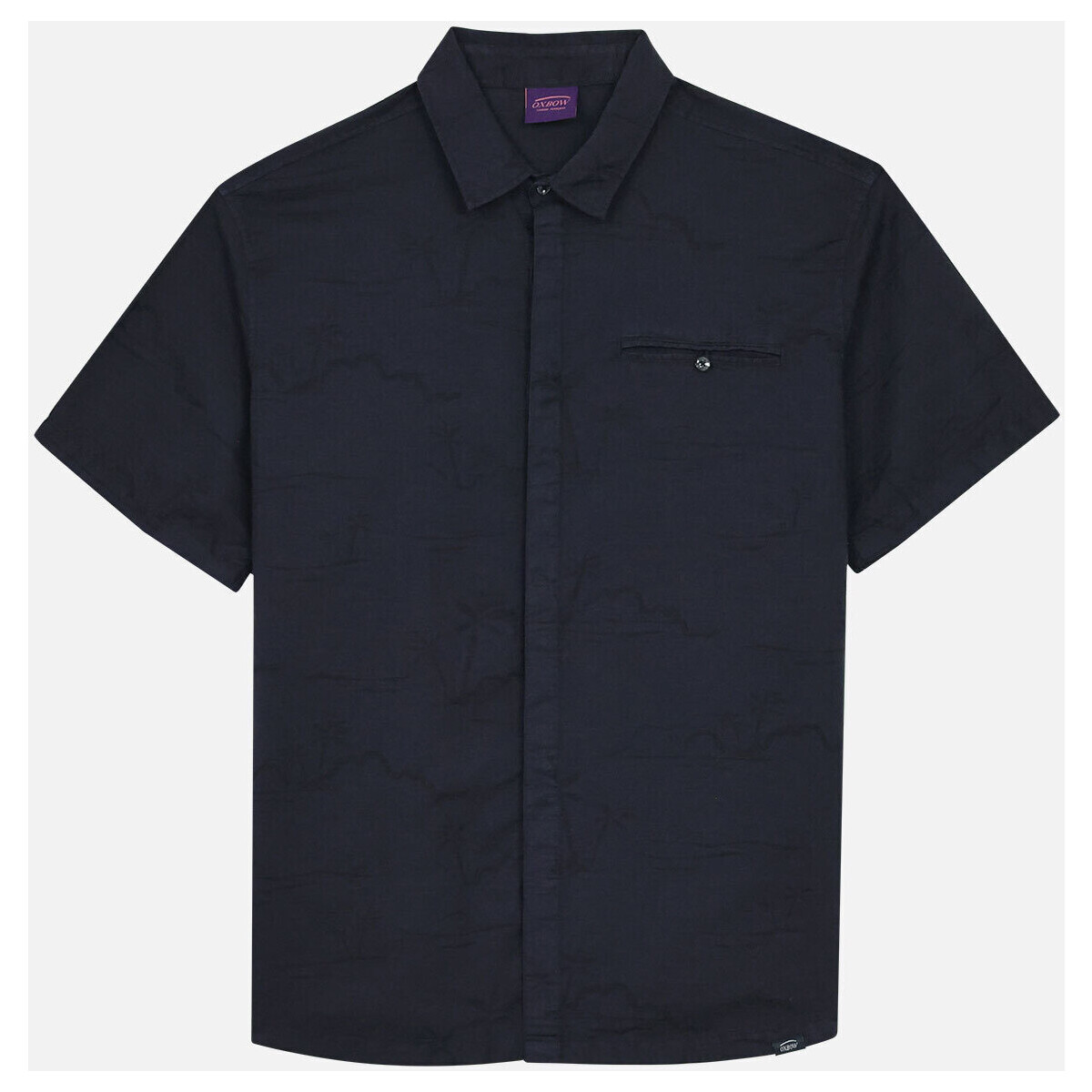 Abbigliamento Uomo Camicie maniche lunghe Oxbow Chemise CELIN Blu