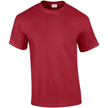 Abbigliamento Uomo T-shirts a maniche lunghe Gildan GD02 Rosso