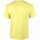 Abbigliamento Uomo T-shirts a maniche lunghe Gildan GD02 Multicolore