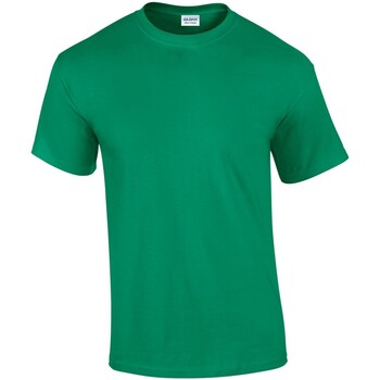 Abbigliamento Uomo T-shirts a maniche lunghe Gildan GD02 Verde