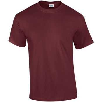 Abbigliamento Uomo T-shirts a maniche lunghe Gildan GD02 Viola