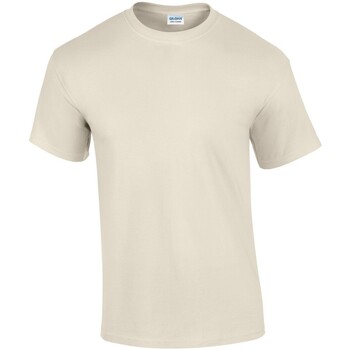 Abbigliamento Uomo T-shirts a maniche lunghe Gildan GD02 Beige