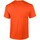 Abbigliamento Uomo T-shirts a maniche lunghe Gildan GD02 Arancio