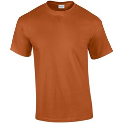 Abbigliamento Uomo T-shirts a maniche lunghe Gildan GD02 Arancio