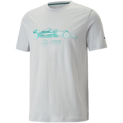 Abbigliamento Uomo T-shirt & Polo Puma 538484-02 Grigio