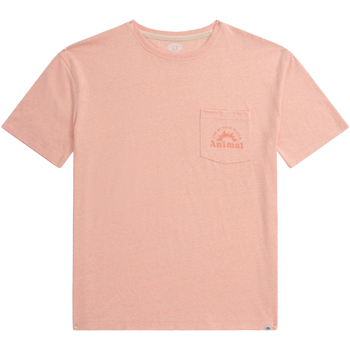 Abbigliamento Donna T-shirts a maniche lunghe Mountain Warehouse Elena Rosso