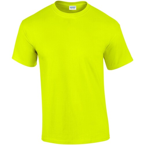 Abbigliamento Uomo T-shirts a maniche lunghe Gildan GD02 Verde