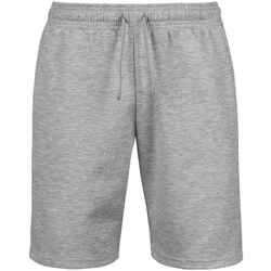 Abbigliamento Uomo Shorts / Bermuda Tee Jays PC6589 Grigio