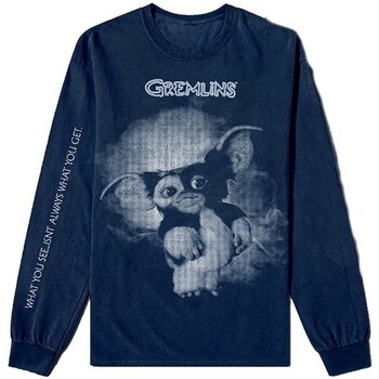 Abbigliamento T-shirts a maniche lunghe Gremlins RO4218 Blu
