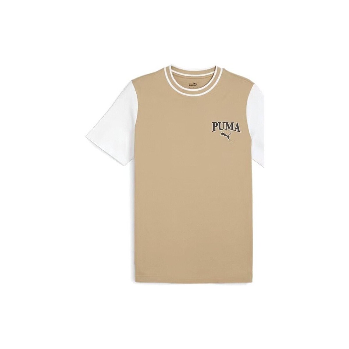 Abbigliamento Uomo T-shirt maniche corte Puma T-shirt Uomo Squad Multicolore