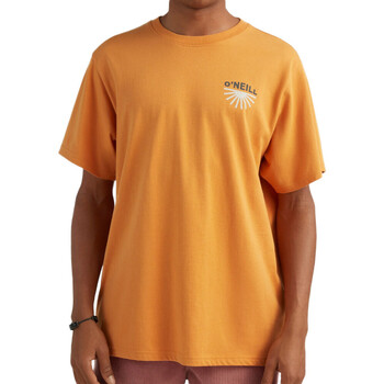 Abbigliamento Uomo T-shirt maniche corte O'neill 2850097-17016 Arancio