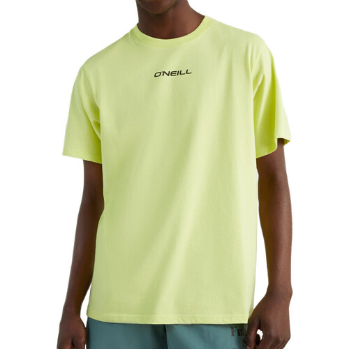Abbigliamento Uomo T-shirt maniche corte O'neill 2850105-12014 Verde