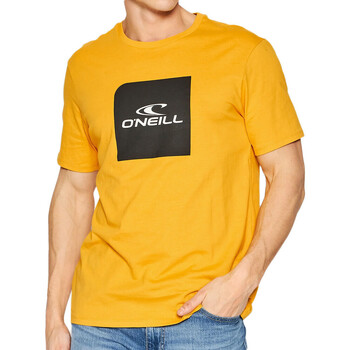 Abbigliamento Uomo T-shirt maniche corte O'neill N2850007-12010 Giallo