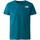 Abbigliamento Bambino T-shirt maniche corte The North Face NF0A87T5 Verde