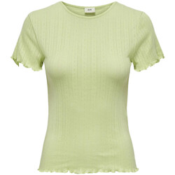Abbigliamento Donna T-shirt maniche corte JDY 15316095 Verde