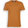 Image of T-shirt & Polo Colorful Standard Cotone Organico Ginger