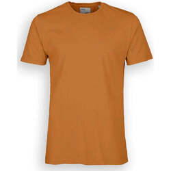 Abbigliamento T-shirt & Polo Colorful Standard Cotone Organico Ginger Marrone