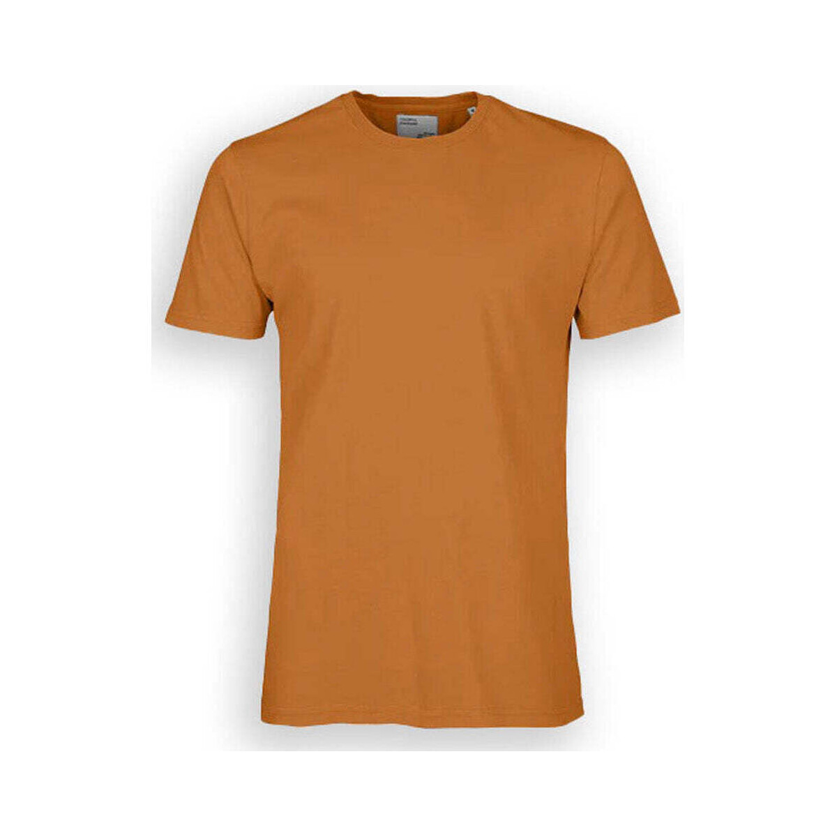 Abbigliamento T-shirt & Polo Colorful Standard Cotone Organico Ginger Marrone