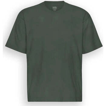 Abbigliamento T-shirt & Polo Colorful Standard Oversized  Cotone Organico Verde Verde
