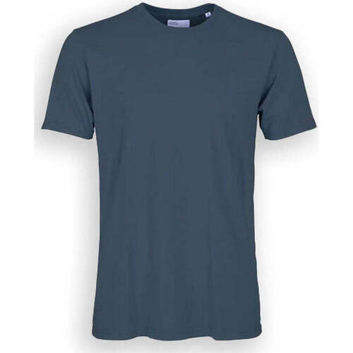 Abbigliamento T-shirt & Polo Colorful Standard Cotone Organico Petrolio Verde