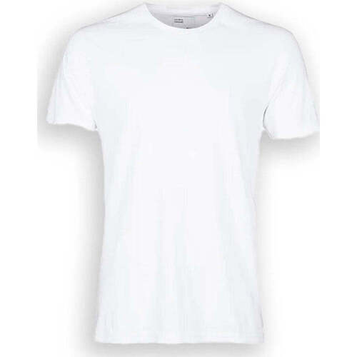 Abbigliamento T-shirt & Polo Colorful Standard Cotone Organico Bianco Bianco