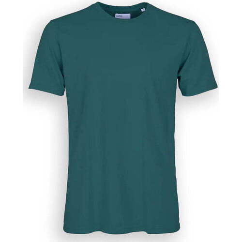 Abbigliamento T-shirt & Polo Colorful Standard Cotone Organico Verde Verde