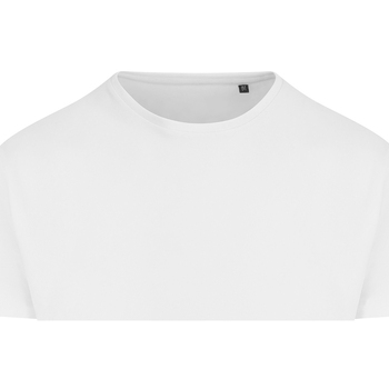 Abbigliamento Uomo T-shirts a maniche lunghe Awdis EA004 Bianco
