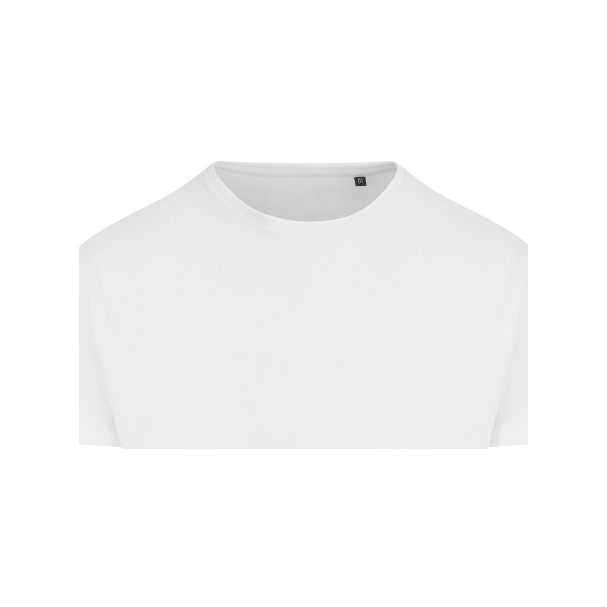Abbigliamento Uomo T-shirts a maniche lunghe Awdis Ecologie Ambaro Bianco