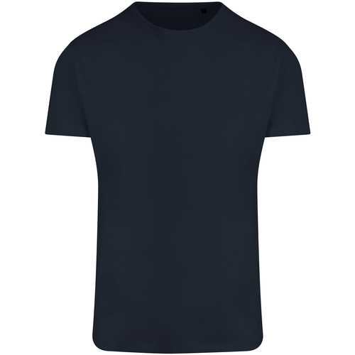 Abbigliamento Uomo T-shirts a maniche lunghe Awdis Ecologie Ambaro Blu