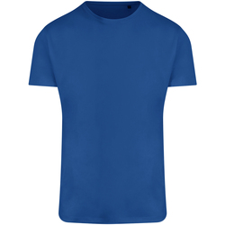 Abbigliamento Uomo T-shirts a maniche lunghe Awdis Ecologie Ambaro Blu