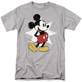Abbigliamento Uomo T-shirts a maniche lunghe Disney TV2951 Grigio