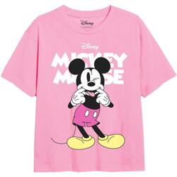 Abbigliamento Bambina T-shirts a maniche lunghe Disney TV2956 Rosso
