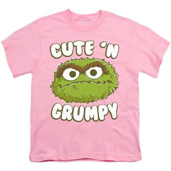 Abbigliamento Unisex bambino T-shirt maniche corte Sesame Street Cute N Grumpy Viola