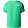 Abbigliamento Uomo T-shirt maniche corte The North Face NF0A87NJ Verde