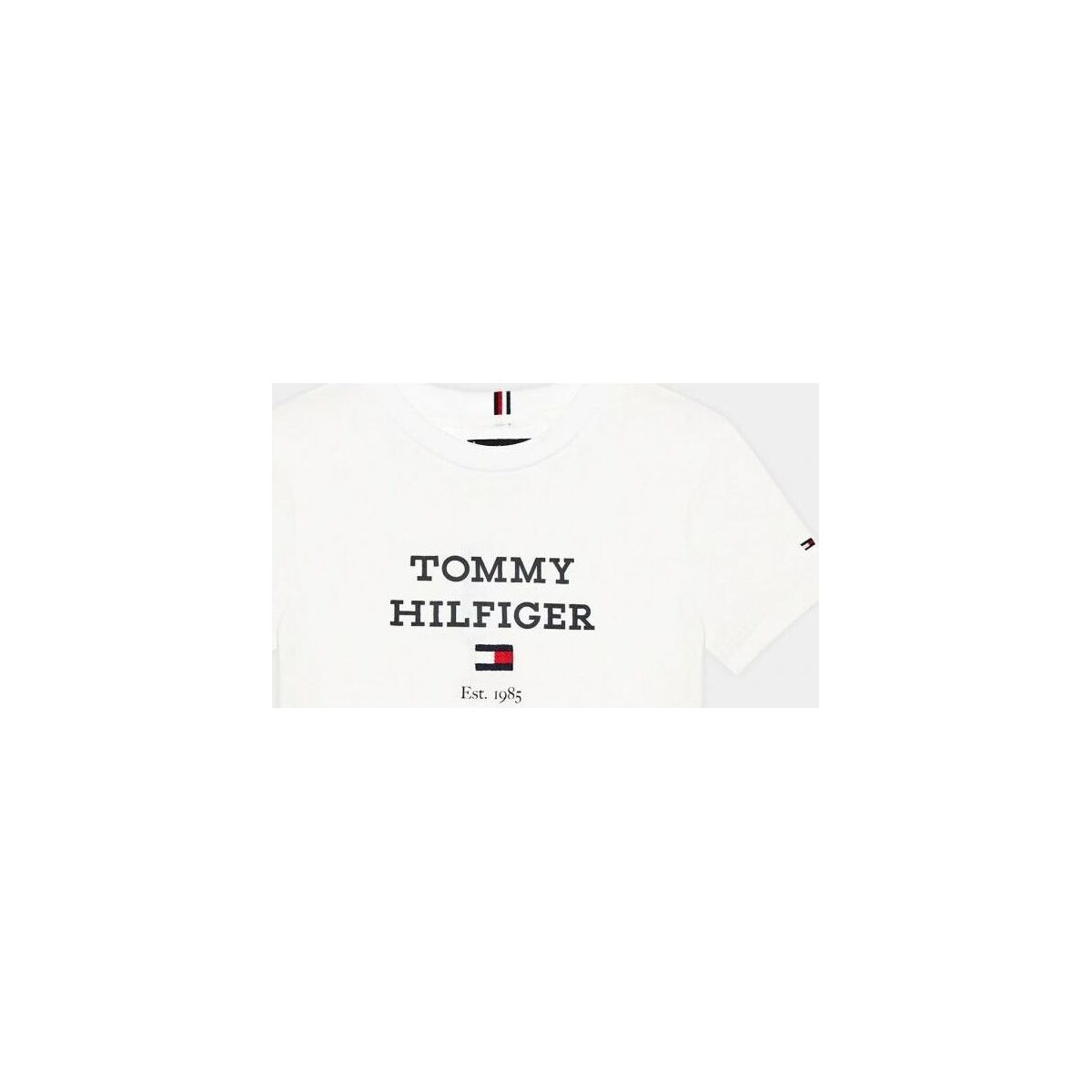 Abbigliamento Unisex bambino T-shirt & Polo Tommy Hilfiger KB0KB08671 - TH LOGO-YBR WHITE Bianco