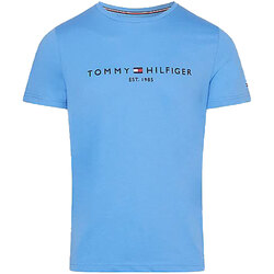 Abbigliamento Uomo T-shirt maniche corte Tommy Hilfiger TOMMY LOGO TEE Blu