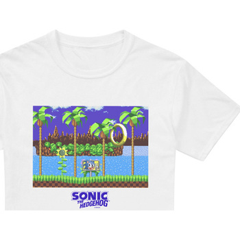 Abbigliamento Uomo T-shirts a maniche lunghe Sonic The Hedgehog End Level Bianco