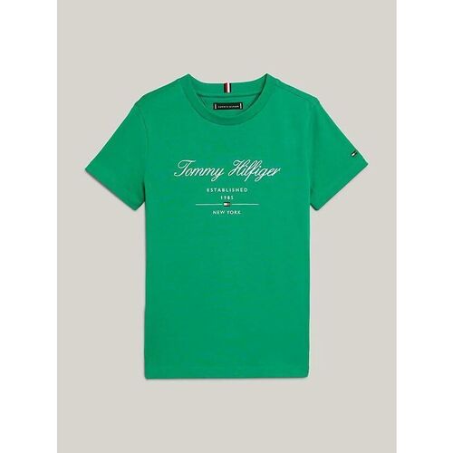 Abbigliamento Unisex bambino T-shirt & Polo Tommy Hilfiger KB0KB08803-L4B OLYMPIC GREEN Verde