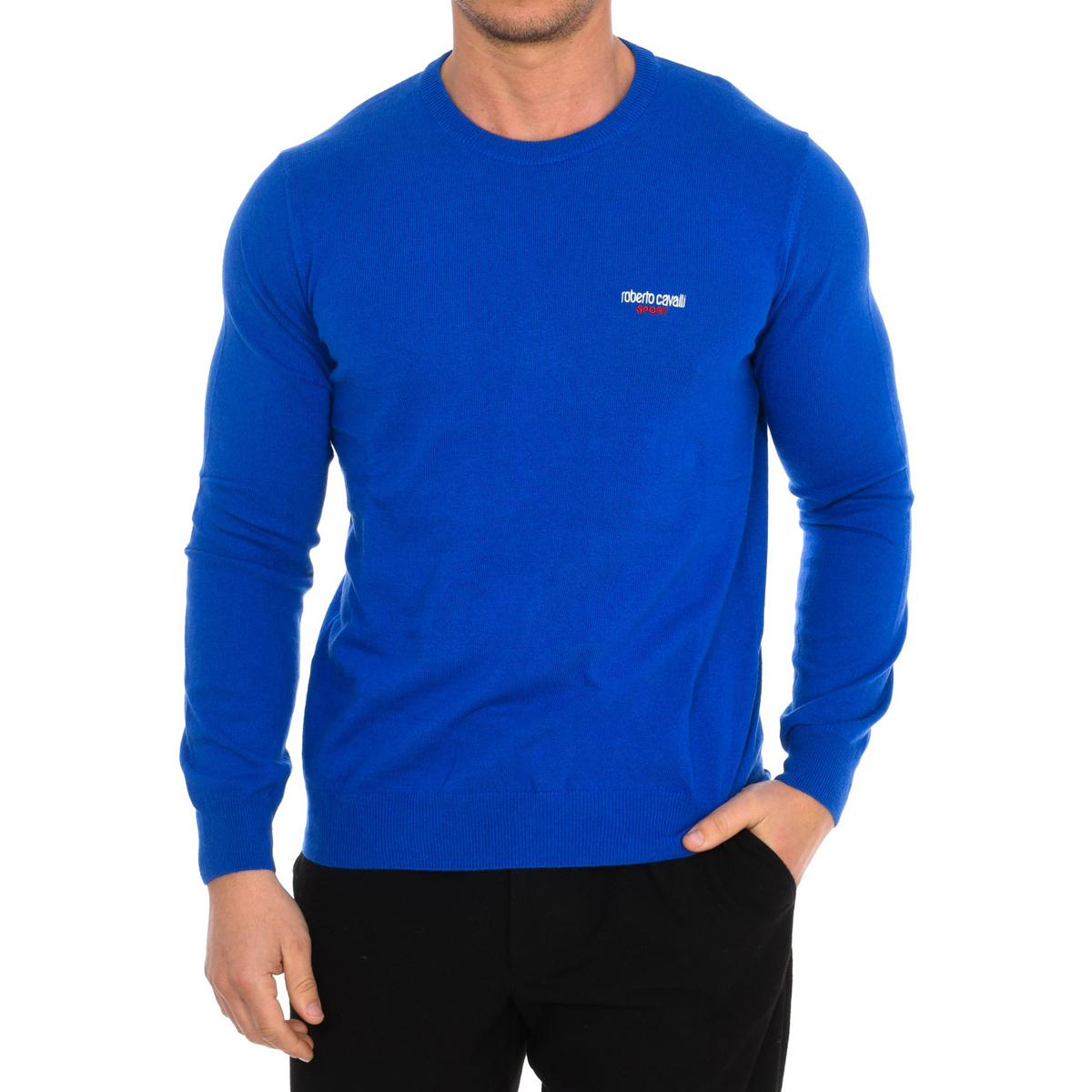 Abbigliamento Uomo Maglioni Roberto Cavalli FSX600-BLUETTE Blu