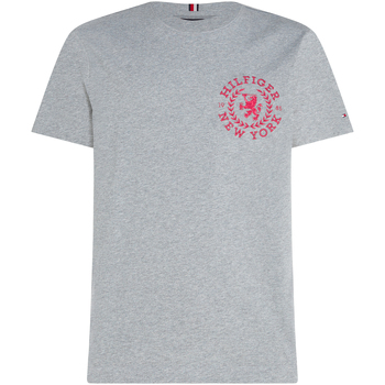 Abbigliamento Uomo T-shirt & Polo Tommy Hilfiger T-shirt in jersey con stemma 