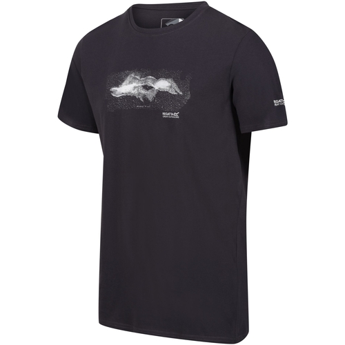Abbigliamento Uomo T-shirts a maniche lunghe Regatta Breezed III Above It All Grigio