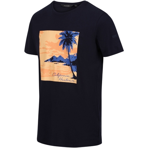 Abbigliamento Uomo T-shirts a maniche lunghe Regatta Cline VII California Heatwave Blu