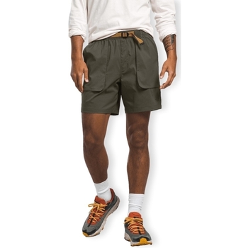 Abbigliamento Uomo Shorts / Bermuda The North Face Class V Ripstop Shorts - New Taupe Green Verde