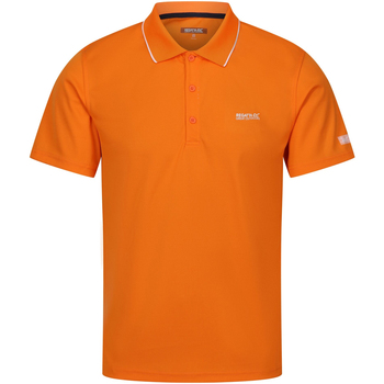 Abbigliamento Uomo T-shirt & Polo Regatta Maverick V Arancio