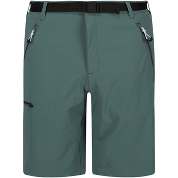 Abbigliamento Uomo Shorts / Bermuda Regatta Xert III Multicolore