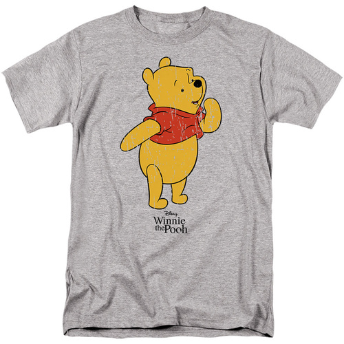 Abbigliamento Uomo T-shirts a maniche lunghe Disney TV3007 Grigio